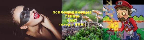 молекула духа Волосово