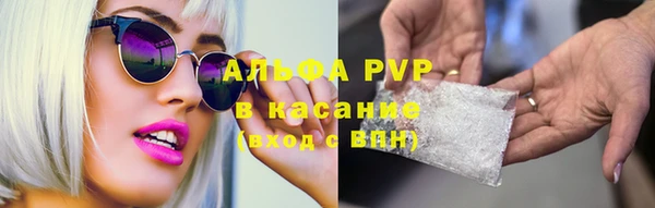 молекула духа Волосово