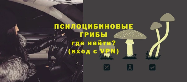 молекула духа Волосово