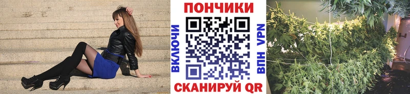 цена наркотик  Игра  Канабис сатива 